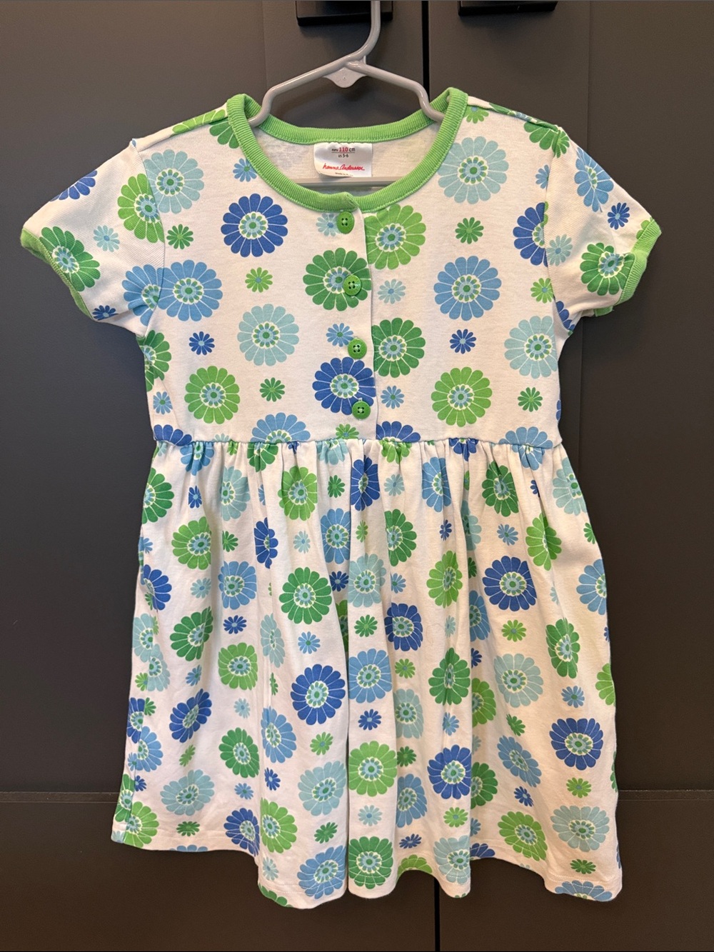 Hanna Andersson Vintage Green and Blue Floral Dress